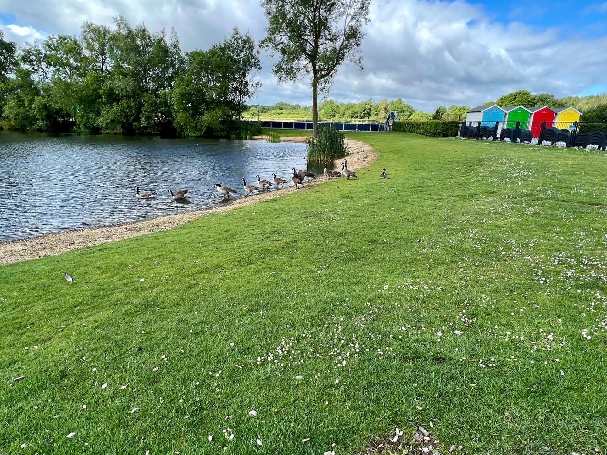 Holiday home Cottontail - Hot Tub - Pet Friendly South Cerney